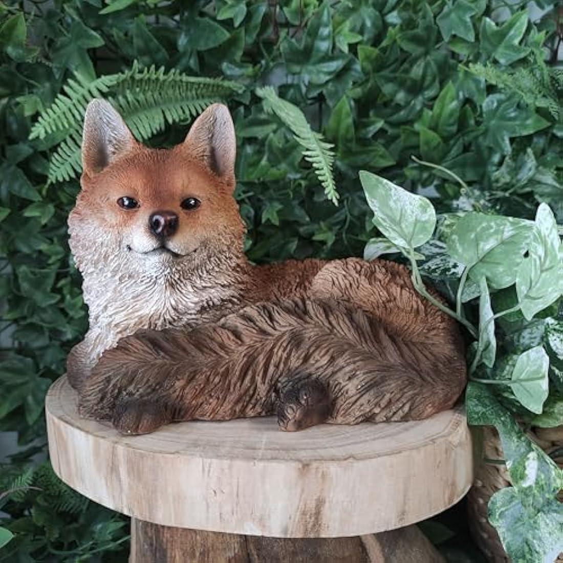 Vivid Arts Real Life Resting Fox | Resin Home or Garden Decoration | XRL-RFOX-D