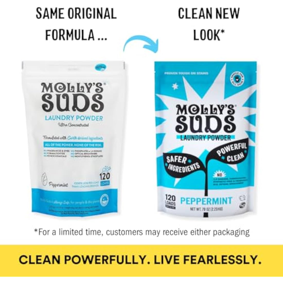 Molly's Suds Original Laundry Detergent Powder - Natural Washing Powder, Earth Derived Powder Detergent, Non-Liquid & Organic Washing Detergent, Sensitive Skin Laundry Detergent - 70 Loads, Peppermint