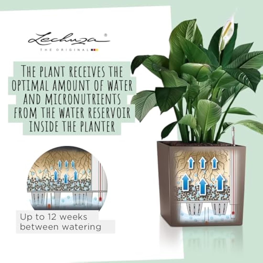 Lechuza Self Watering Plant Pot CUBE 50 Garden Flower Indoor and Outdoor Large Plastic Planter with Drainage Hole H50 L50 W50 cm Charcoal Metallic