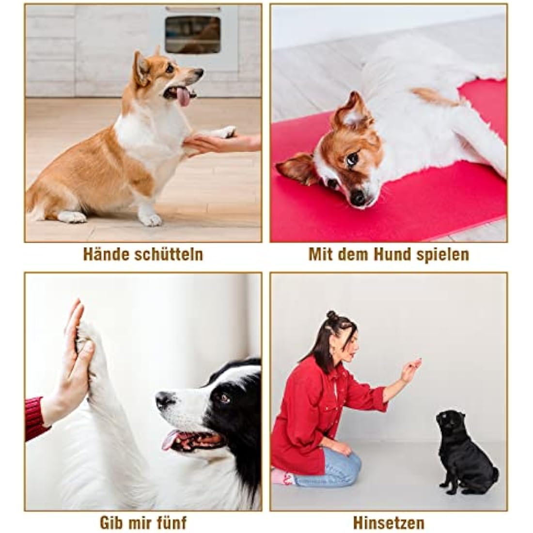 Toozey Dog Clicker, Pack of 5 Clickers with Wrist Strap, Clicker with Large Button, 5 Colours, Bonus E-Book (White+Grey+Pink+Blue+Green)