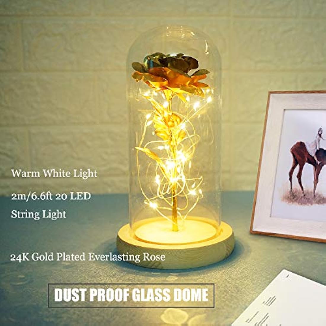 TINYOUTH 24K Golden Rose in Glass Dome, Gold Plated Light Up Flowers Batteries Included Rose Gifts for Women/Her/Mum Wedding Anniversary Valentines Birthday Xmas