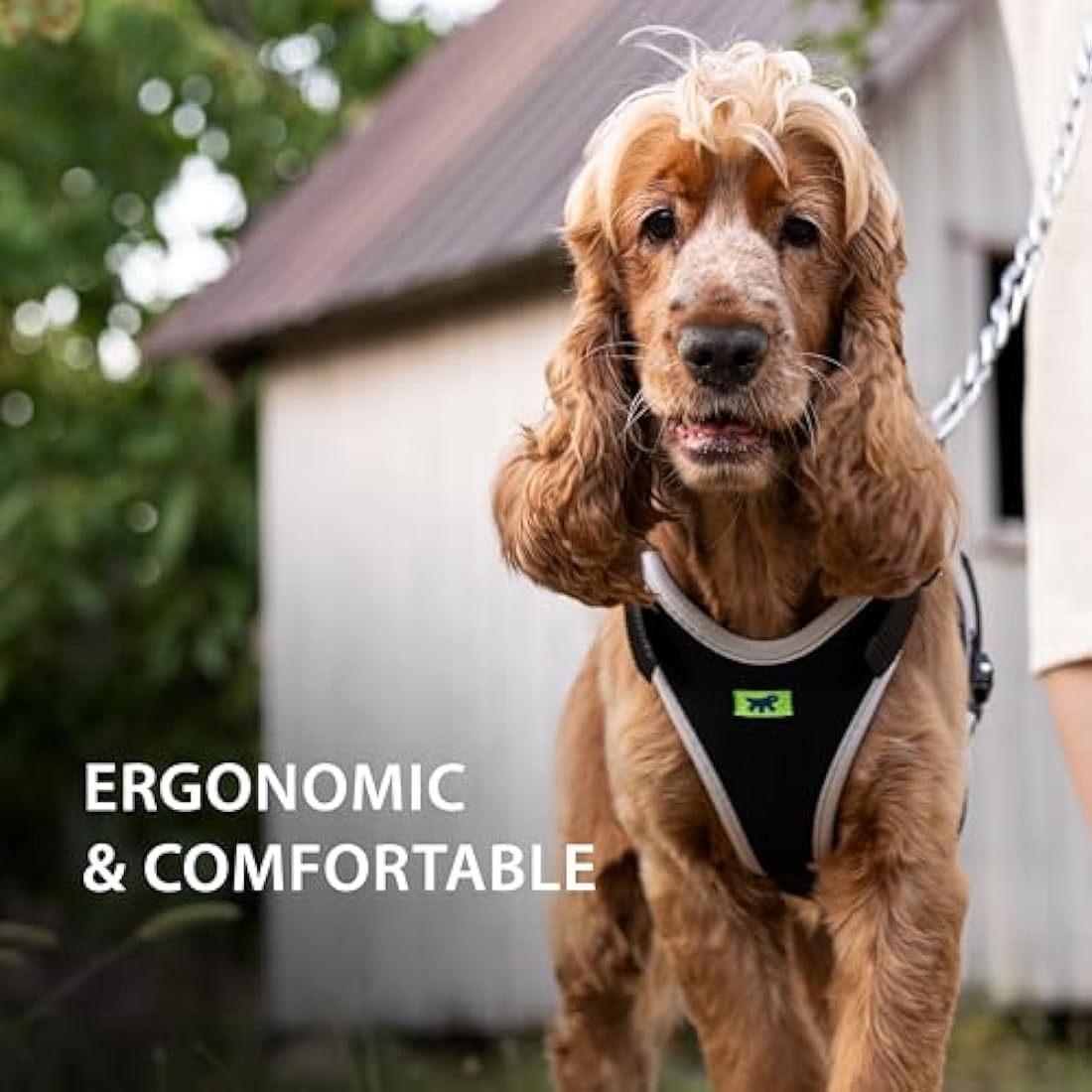 Ferplast Medium Size Dog Harness ERGOCOMFORT MEDIUM, Adjustable Dog Harness, Comfortable, Padded, Double Micro-adjustment Closure, Quick Release, Silver