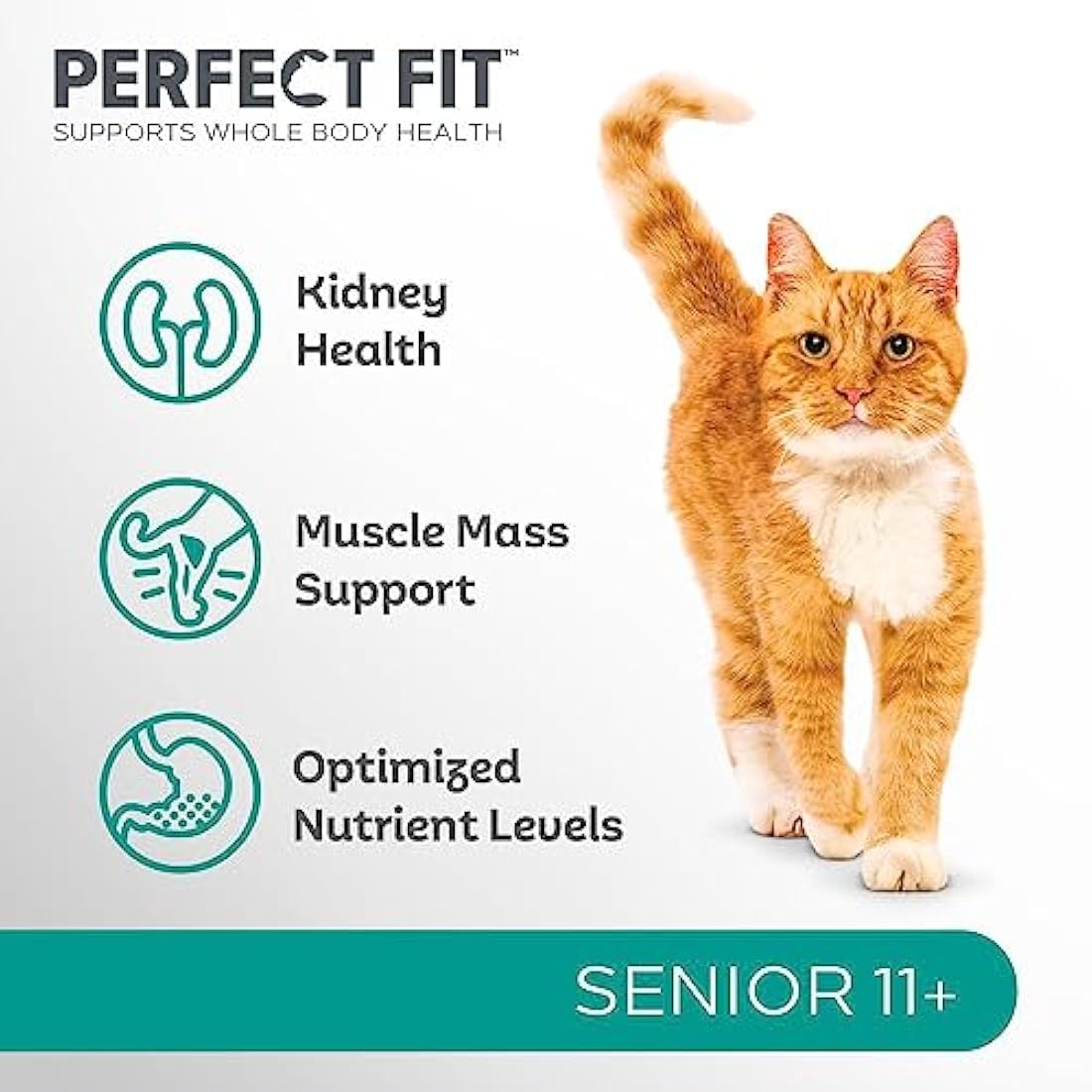 Perfect Fit Senior 11+ Complete Dry Cat Food for Senior Cats Aged 11+ Years, Rich in Chicken, 3 Bags (2.8 kg)
