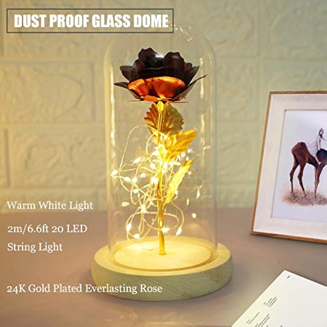 TINYOUTH 24K Red in Glass Dome, Gold Plated Light Up Rose Batteries Included Rose Gifts for Women/Her/Mum Wedding Anniversary Valentines Birthday Xmas