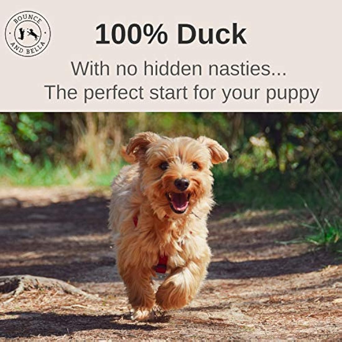 Bounce and Bella Pure Duck Nibbles – 100% Natural, Single-Ingredient Dog Treats – Grain-Free, No Nasties, Perfect for Puppies & Dogs of All Ages (5 Pack)