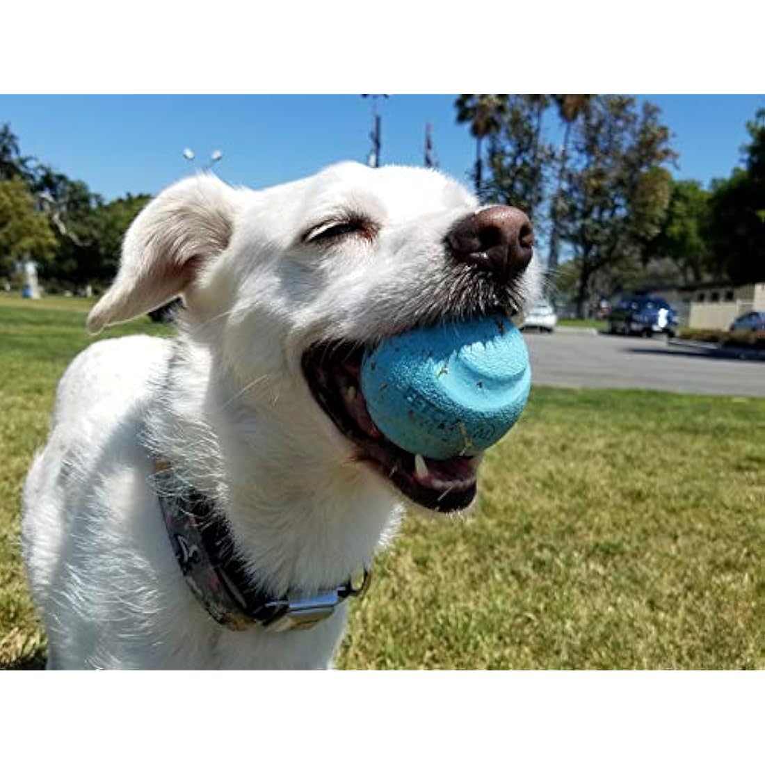ChuckIt! Fetch Medley Gen 1 Rubber Dog Balls, The Whistler, Max Glow & Rebounce Balls for Dogs, Durable High Bounce Launcher Compatible Dog Toy, Medium, 3 Pack
