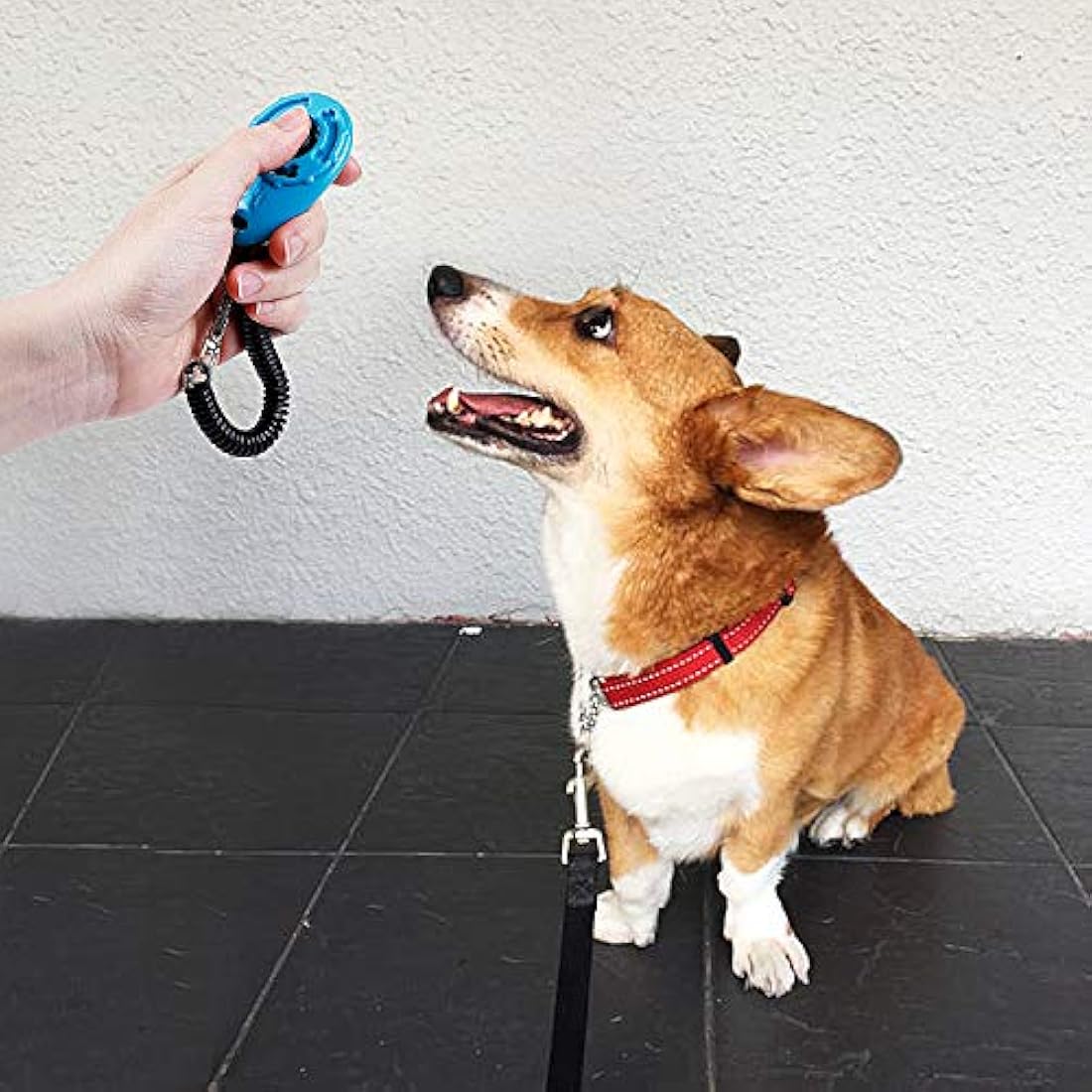 Toozey dog clicker, 5 pieces of clickers with wrist strap, clicker with large button, 5 colours, bonus E-book