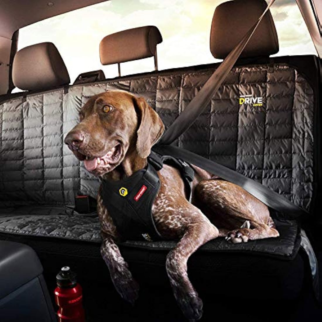 EzyDog Drive Harness, Medium