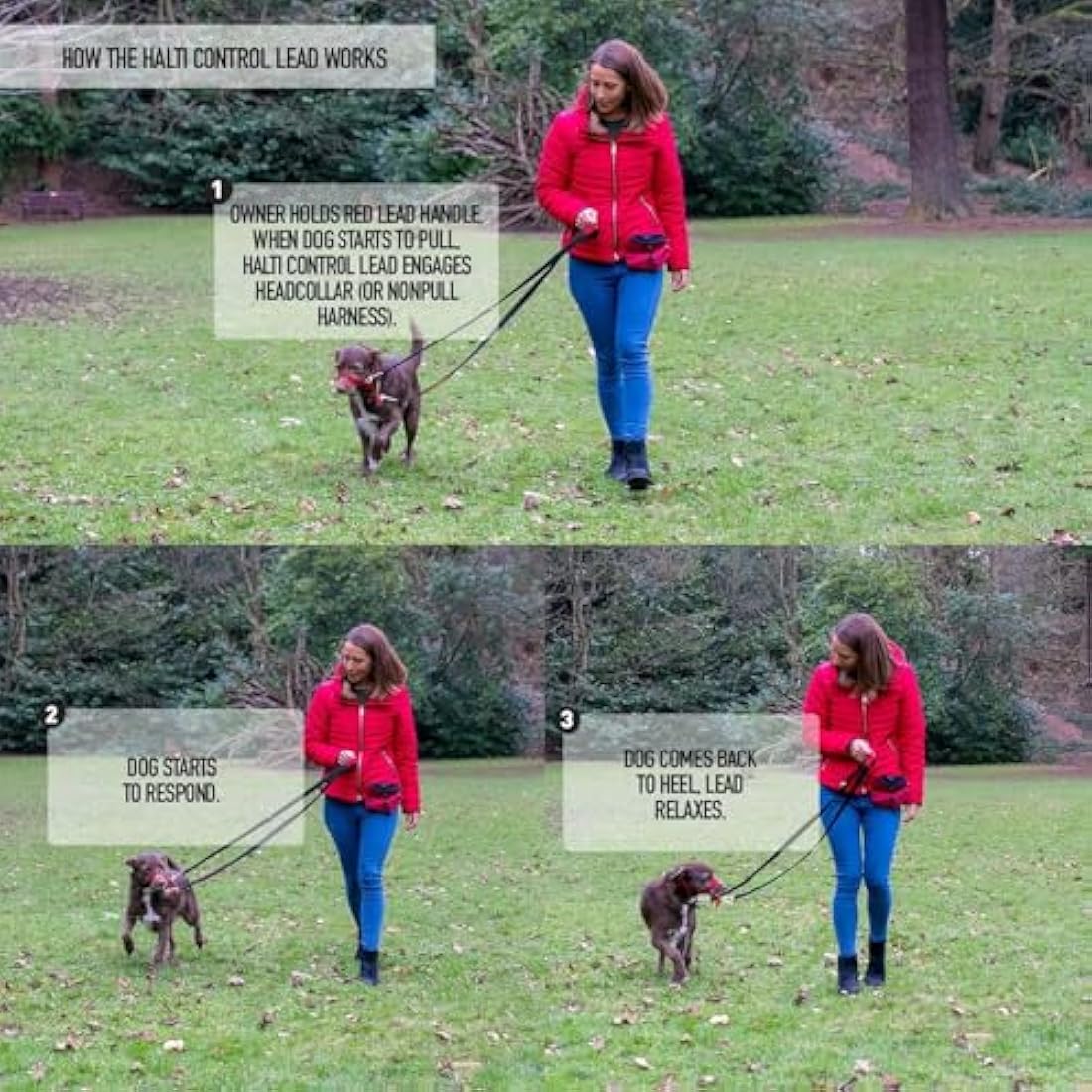 Company of Animals HALTI Control Lead Size Large Black, 2m, Professional Dog Lead to Stop Pulling, Perfect for Puppy Walks, Easy to Use Double-Ended Dog Training Lead with 2 Handles