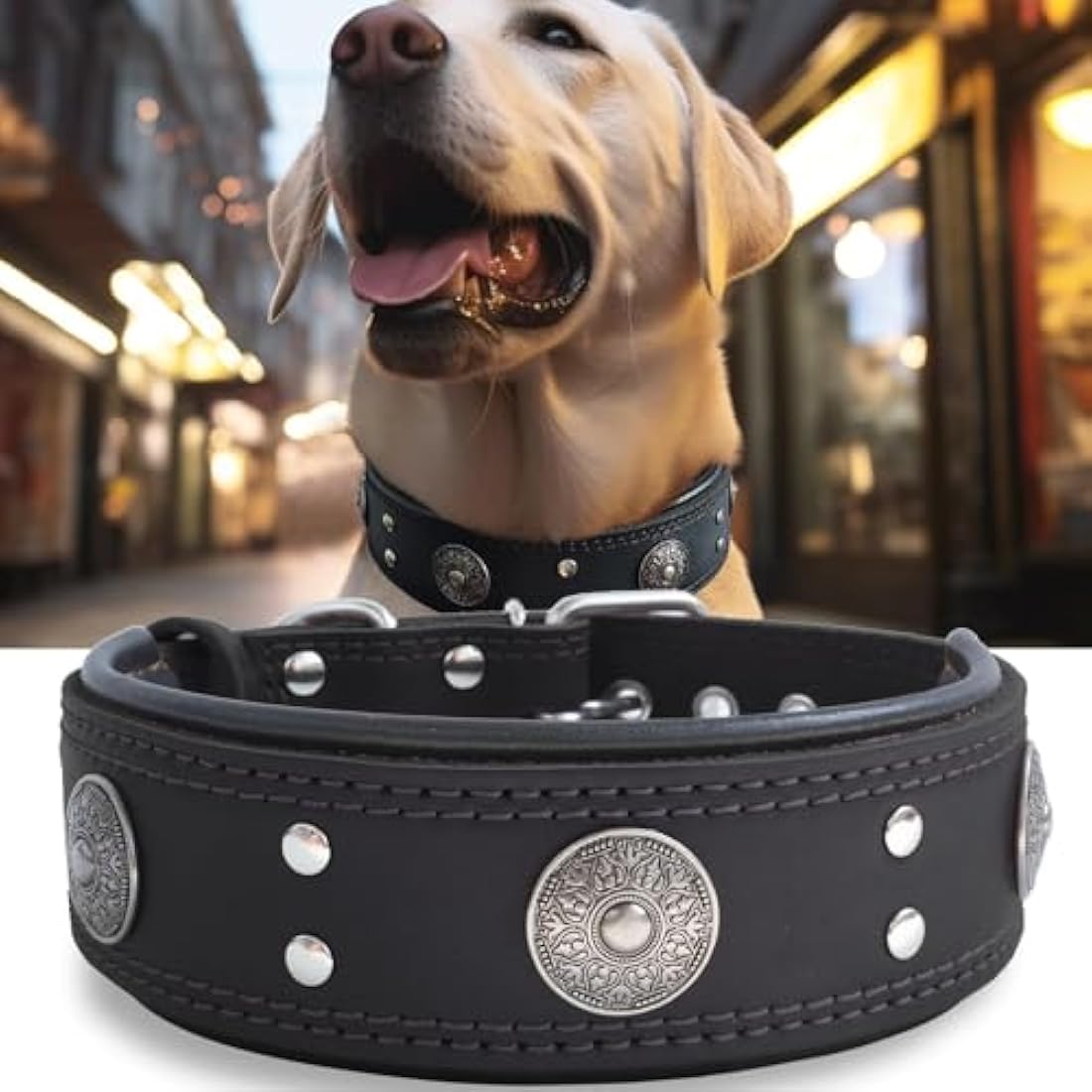 Leather Dog Collar, 5 cm Wide Genuine Leather, Handmade and Soft, Luxurious and Outstanding, Best Choice for Large and Medium Breeds, Black 49.5-60 cm