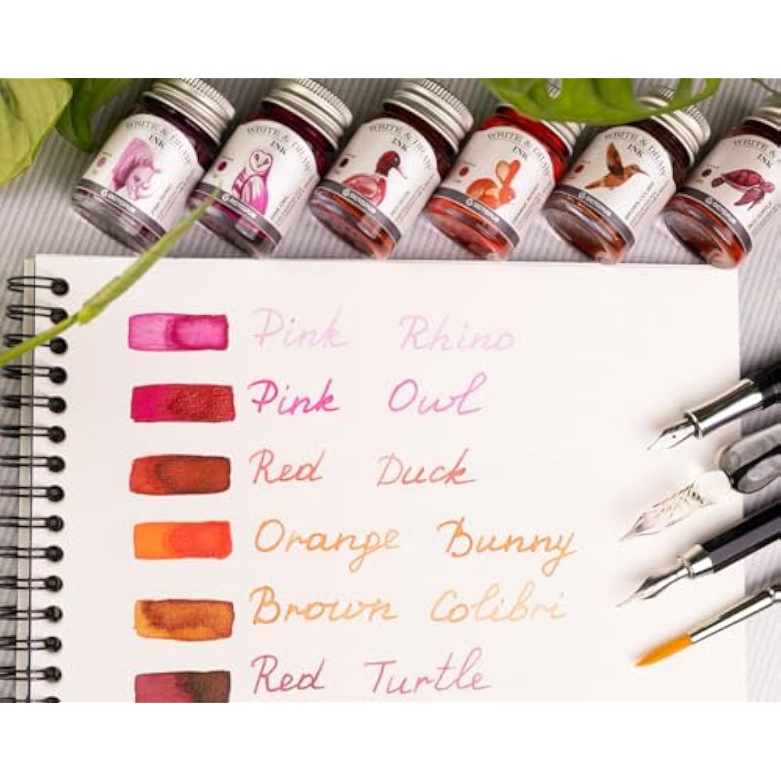 Octopus Write and Draw Ink Set - Desert Waterproof Ink for Fountain Pen Calligraphy, 6 x 10 ml