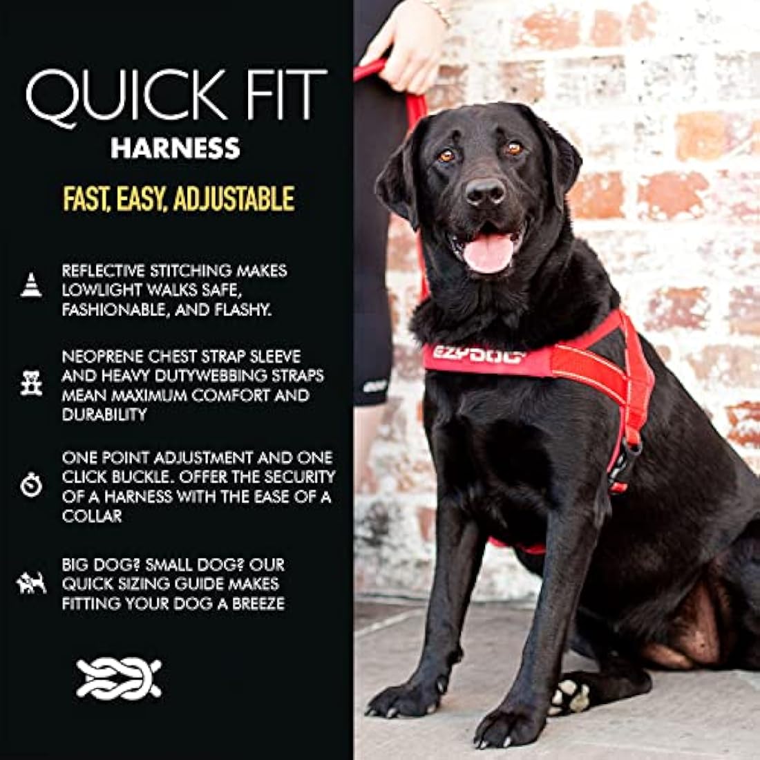 EZYDOG Quick Fit Dog Harness | Dog Harness, Reflective Stitching, Water Resistant Materials, No Pull (Corduroy, Black, Large)