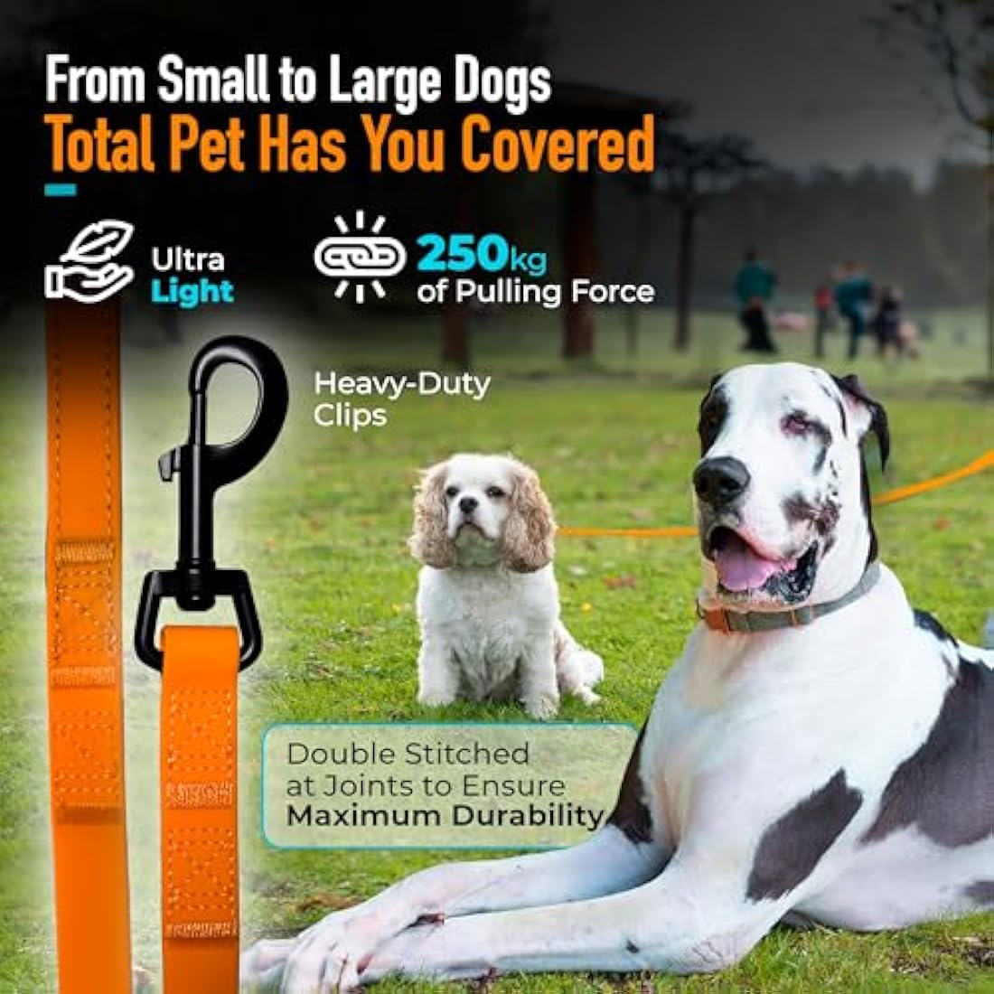 Total Pet Training Lead for Dogs, Waterproof Long Line for Recall & Obedience Training - Extra Long Dog Lead - Suitable for all Sized Dogs (10m, Regular Clip)