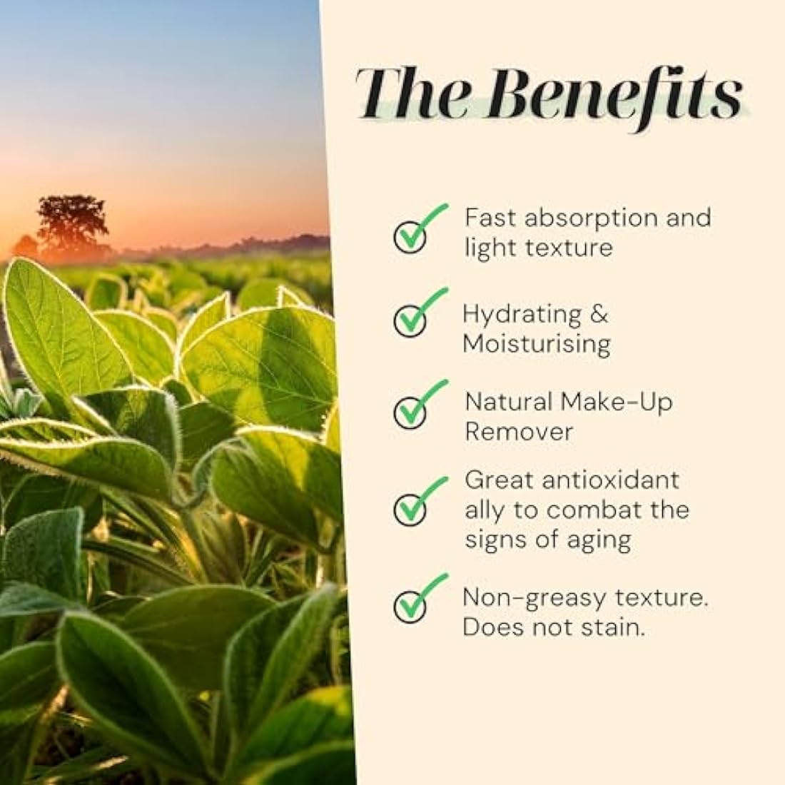 Bio SOYA Oil Skin Care Superhero! Professional Oil Massage, Moisturising Body Oil, Anti-Age Make Up Remover Oil, High Vitamin E Oil, Anti Cellulite Oil - 5000 ml