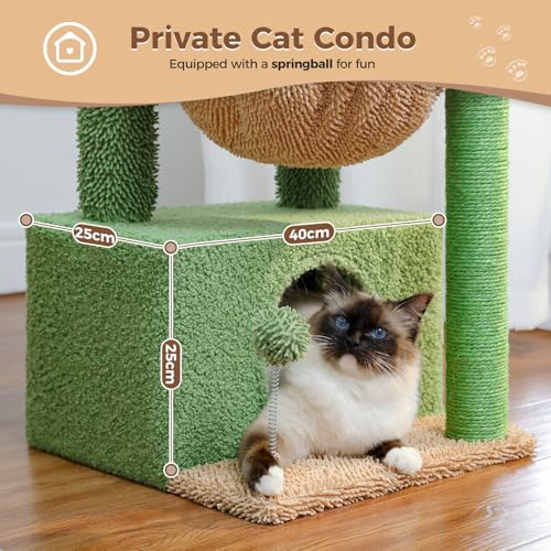PAWZ Road Cactus Cat Tree for Indoor Cats with Super Large Condo, Cat Tower with Scratching Post, Large Hammock, Dangling Ball and Top Perch, 79cm