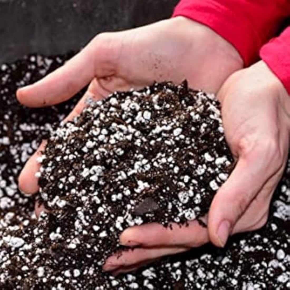 Premium Horticultural Perlite 3-5mm Potting Compost, 1L, 2L, 5L, 10L (10L)