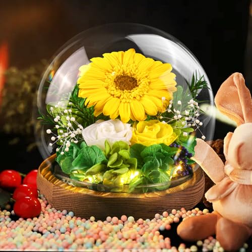 Touloube Mothers Day Chrysanthemum Flowers Gifts for Women, Real Stabilized Sunflower Glass Dome, Eternal Sunflower with LED Lights&Gift Box, Advanced