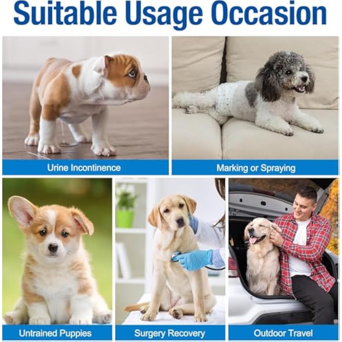 Pet Soft Disposable Dog Puppy Nappies Male - Super Absorbent Male Dog Incontinence Wraps