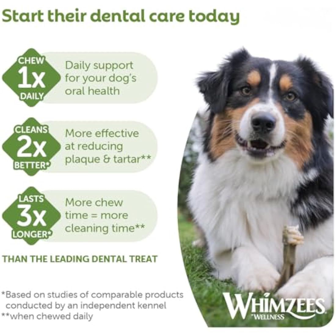 WHIMZEES By Wellness Hedgehog, Dog Dental Sticks, 6 Pieces, Size L, Dog Chews for Large Breeds, Natural, Grain-Free, Rawhide-Free, Vegetarian, No Added Sugar