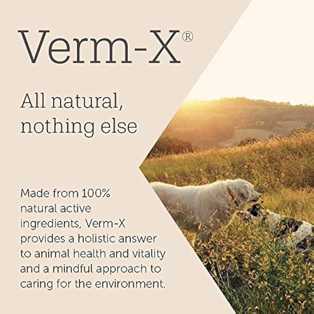 Verm-X All Natural Liquid for all Dogs. Supports  Intestinal Hygiene. Vet Approved. UFAS Assured. Restores and Maintains Gut Vitality. Wormwood Free Recipe., Clear