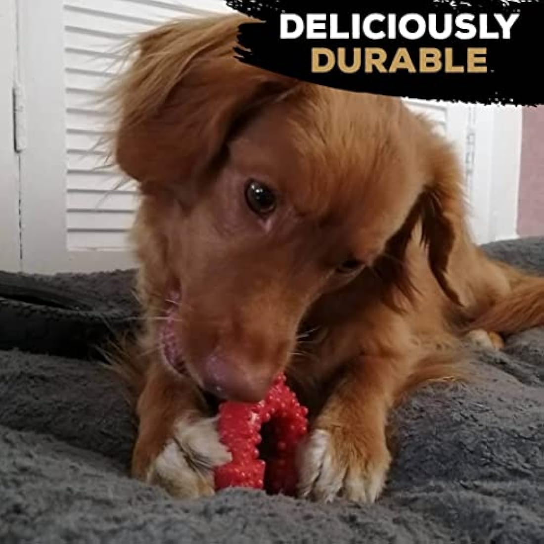 TastyBone TrioBone Nylon Dog Chew Toy for Small Dogs (Beef) - Indestructible for Aggressive Chewers, Everlasting Flavour, Strong Healthy Teeth, Made in the UK