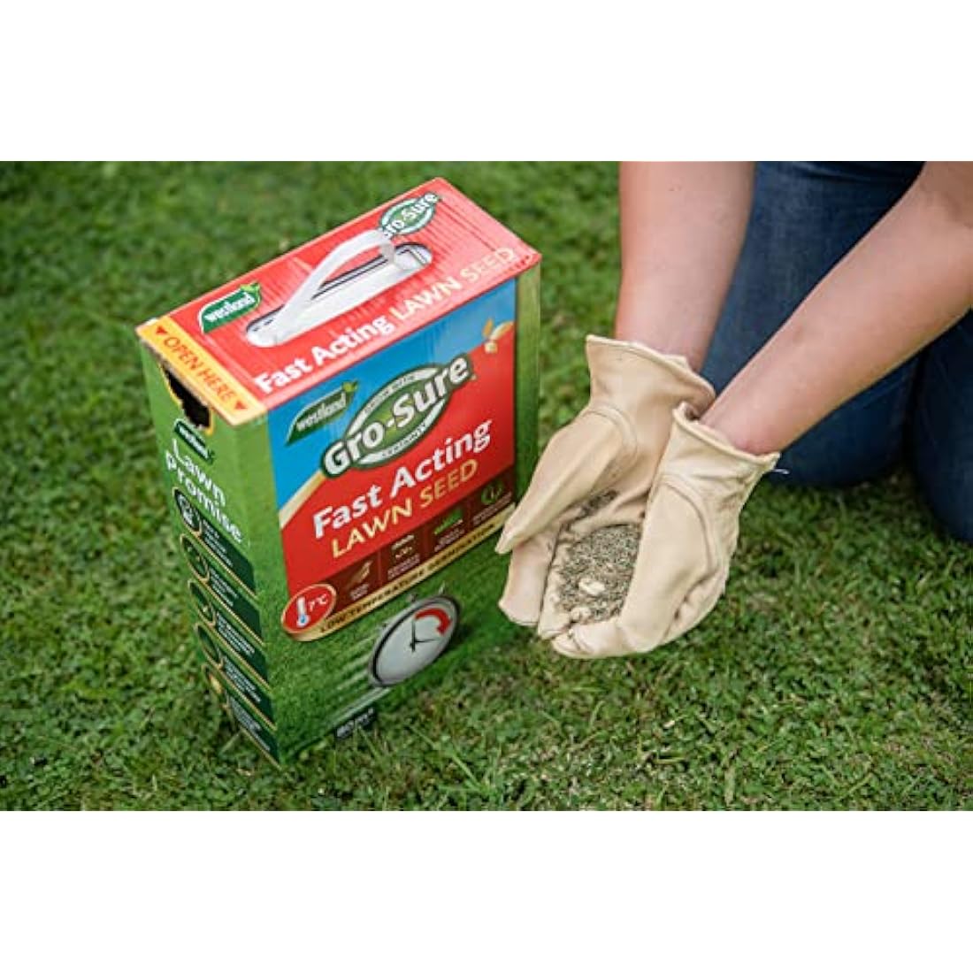 Gro-Sure Fast Acting Lawn Seed, 10 m2, 300 g, Blue,Green