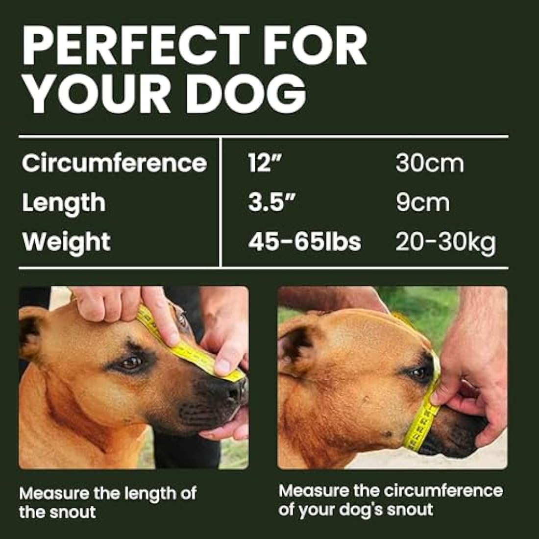 BRONZEDOG Pitbull Dog Muzzle Metal Mask Amstaff Wire Basket Pit Bull Adjustable Leather Straps for Large Dogs (Pink)