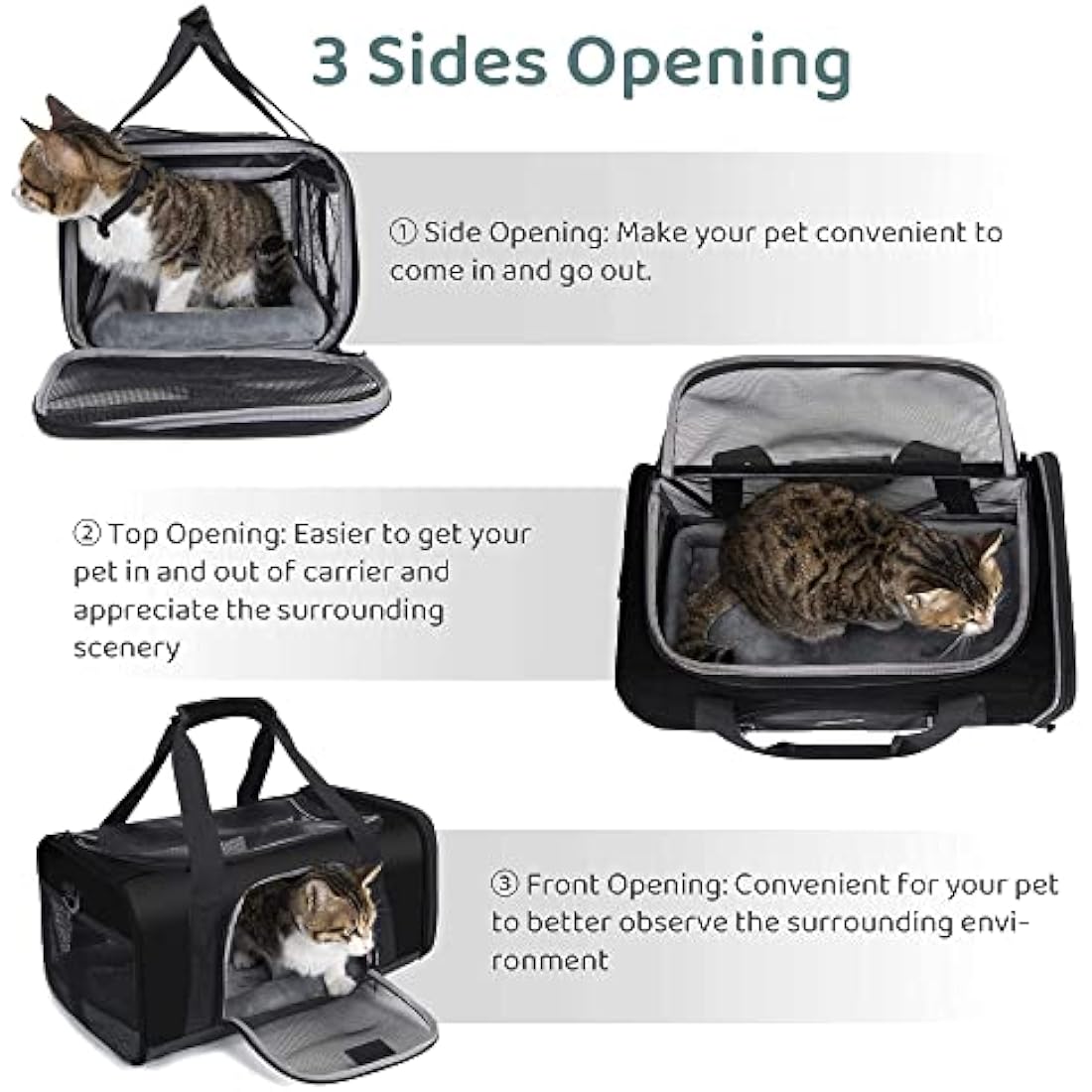 Wakytu TSA Approved Pet Carrier for Small Medium Cats and Dogs | Dog Carrier with Adequate Ventilation | 4 Mesh Windows, 3 Entrance, Locking Safety Zippers, Padded Shoulder Strap, Black