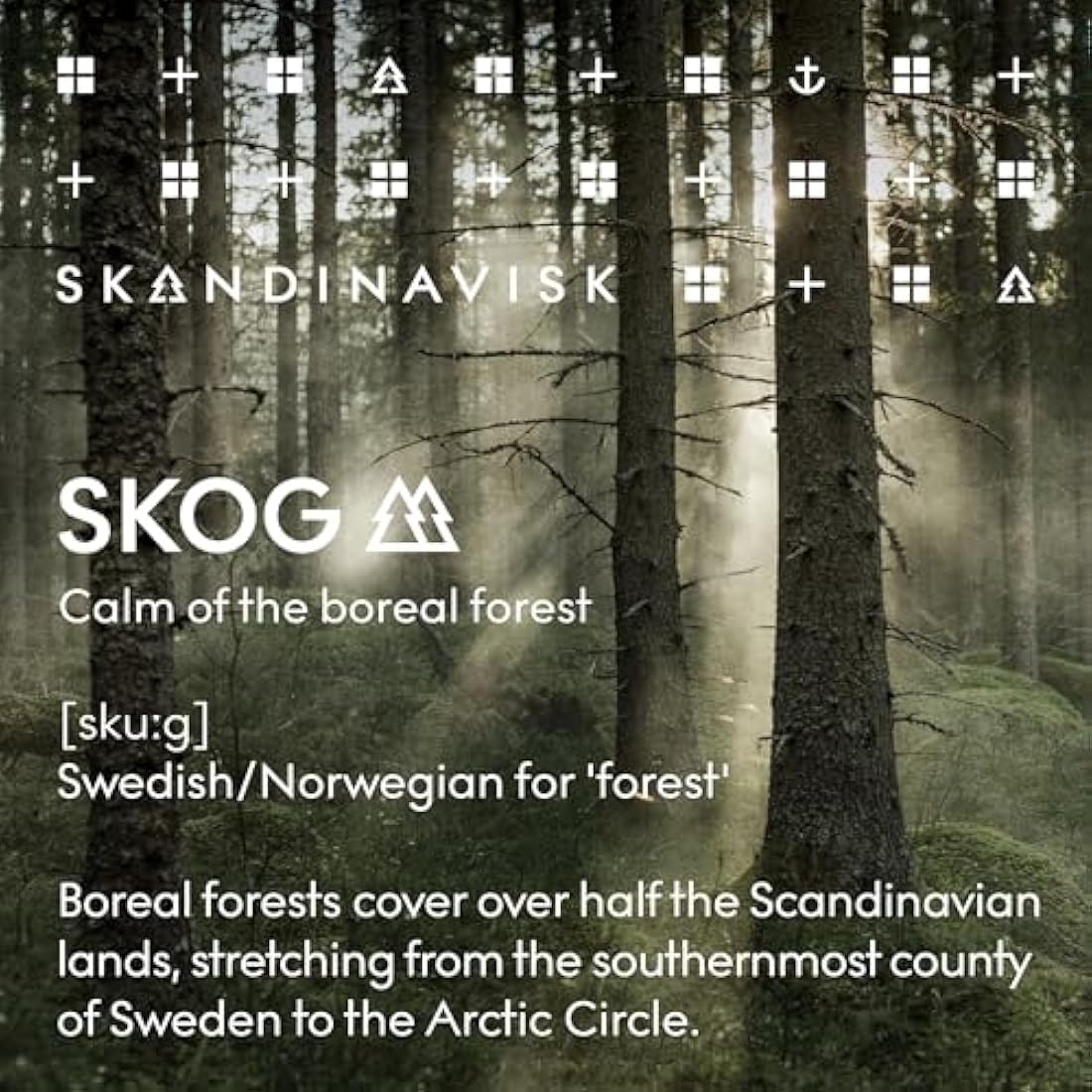 Skandinavisk SKOG ‘Forest’ Hand & body lotion, Scent notes: Pine needles and fir cones, birch sap and woodland lily of the valley, 500 ml