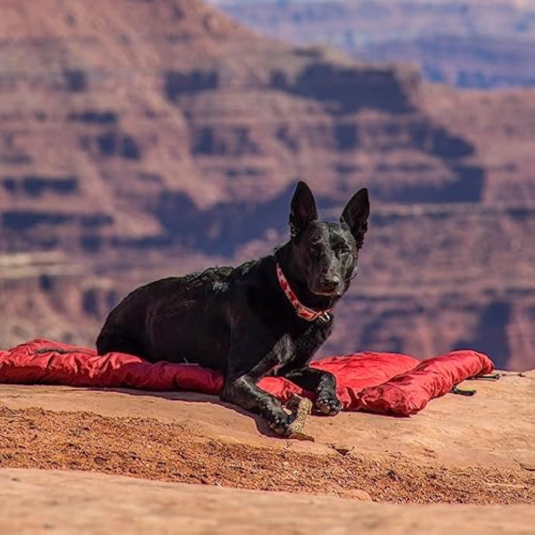 Kurgo Waterproof Dog Bed Wander Loft, Outdoor Portable Bed Roll for Pets, Travel, Hiking, Camping, Chili Red, Medium
