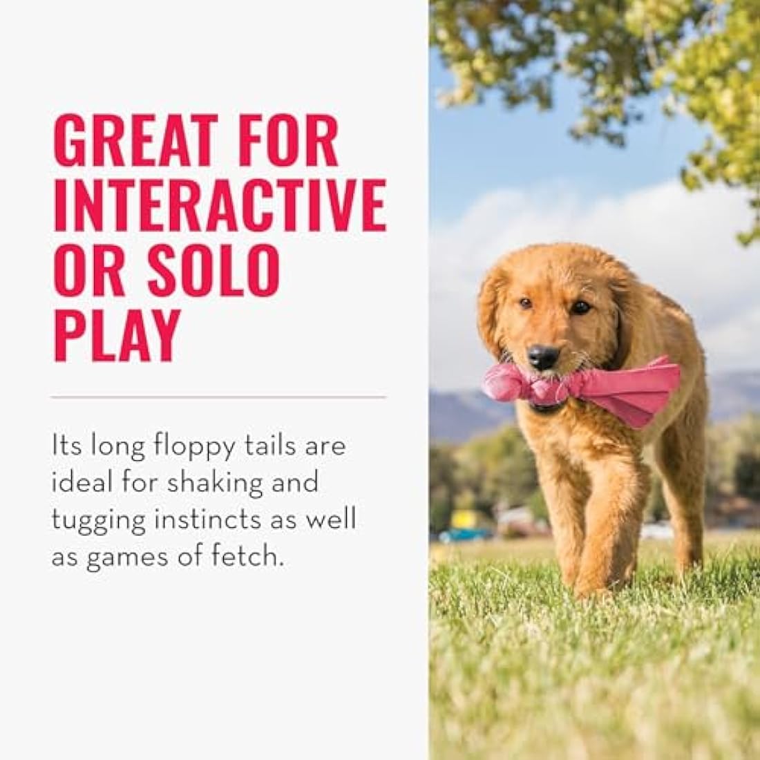 KONG - Wubba Puppy - Nylon Tug of War Dog Toy - For Small Puppy (Assorted Colours)
