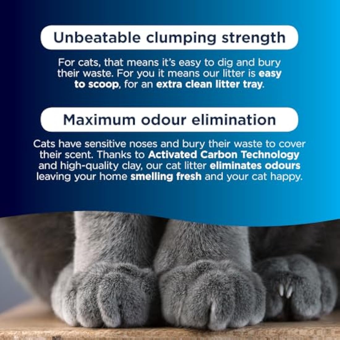 Ever Clean Multiple Cat Clumping Cat Litter 20L