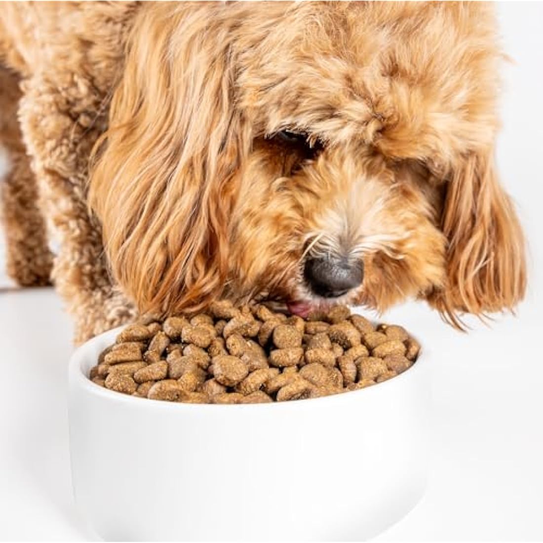 Scrumbles Natural Dry Dog Food, Gluten Free Recipe With Fresh Chicken, For Adults And Senior Breeds, 7.5Kg Bag