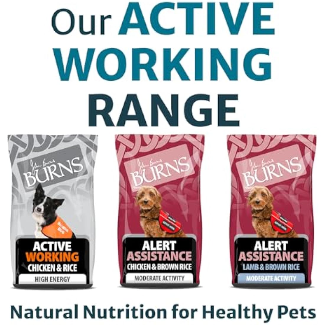 Burns Pet Nutrition Hypoallergenic Complete Dry Dog Food Adult and Senior Dog Active For Working Dogs Chicken and Rice 12 kg