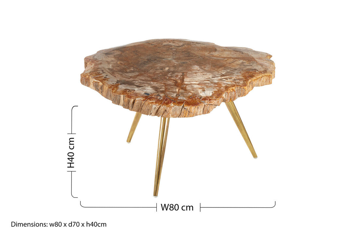 Relic Petrified Wood Coffee Table with Brass Finish Legs