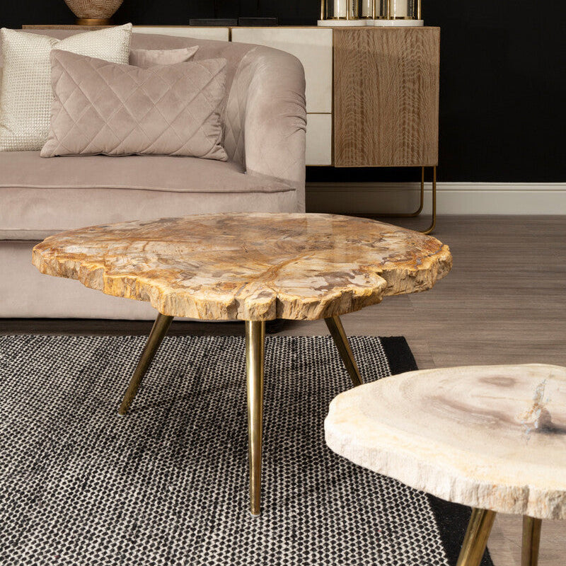 Relic Petrified Wood Coffee Table with Brass Finish Legs