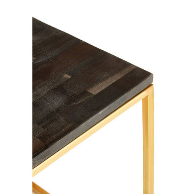 Black Petrified Wood Top Square Side Table with Gold Warm Brass Iron Base, Relic