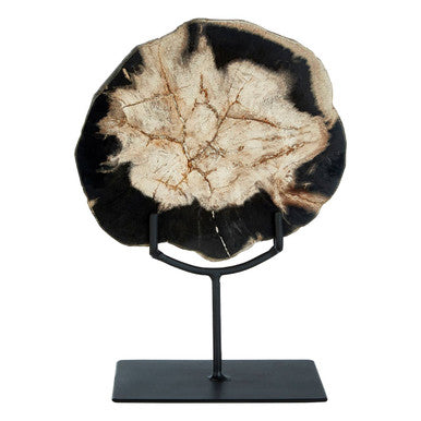Relic Small Petrified Wood Sculpture
