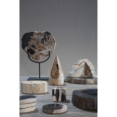 Relic Petrified Wood Bookend
