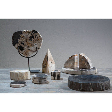 Relic Petrified Wood Bookend