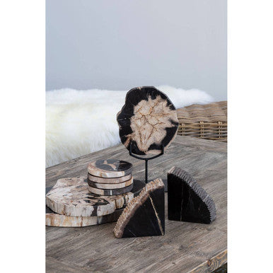 Relic Petrified Wood Bookend