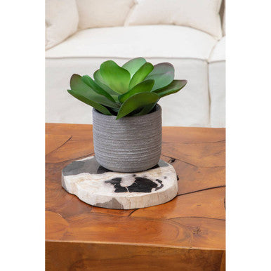 Relic Petrified Wood Serving Board