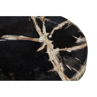 Relic Petrified Wood Serving Board