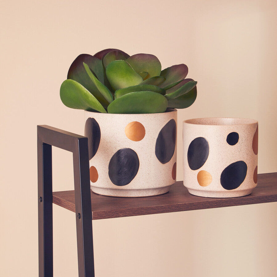 Yuri White And Gold Spotted Planter