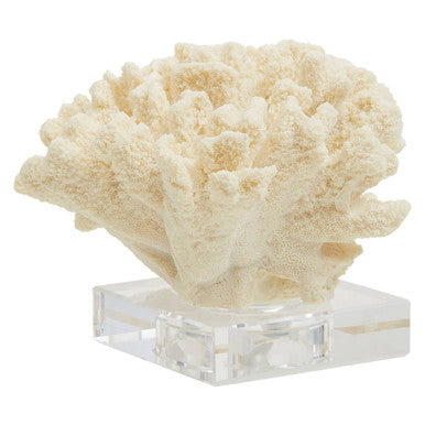 Boho Large White Coral Decor