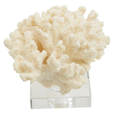 Boho Large White Coral Decor