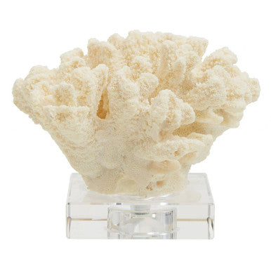 Boho Large White Coral Decor