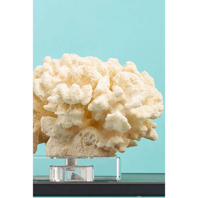 Boho Large White Coral Decor