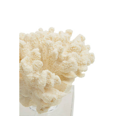 Boho Large White Coral Decor