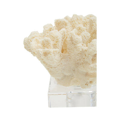 Boho Large White Coral Decor